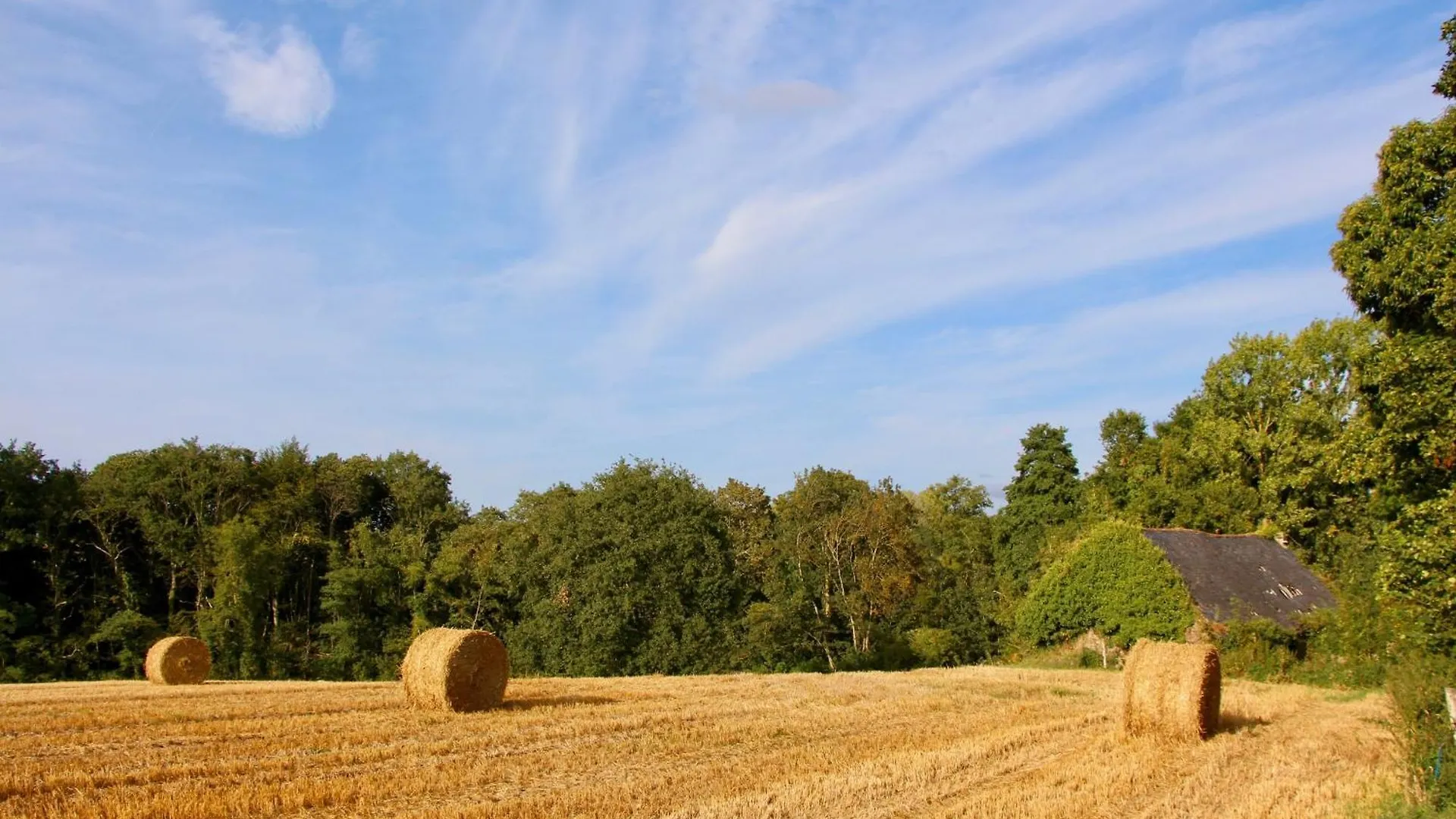 Gite Abricot - Les Gites De La Lohuas Les Champs-Geraux 0*,  France
